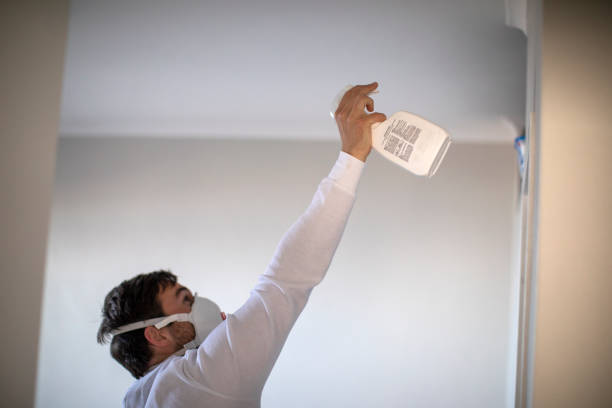 Best Mold Removal Company Near Me  in Blackstone, VA
