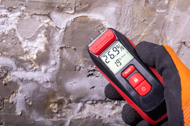 Best Mold Removal Near Me  in Blackstone, VA