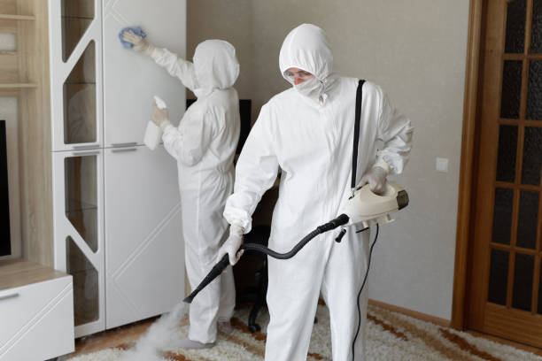 Best Crawl Space Mold Removal  in Blackstone, VA