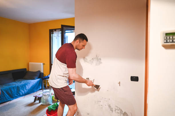 Best Best Mold Removal Companies  in Blackstone, VA
