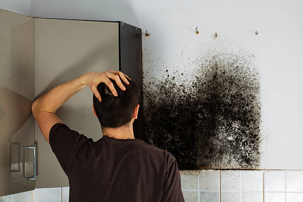 Best Mold Testing  in Blackstone, VA